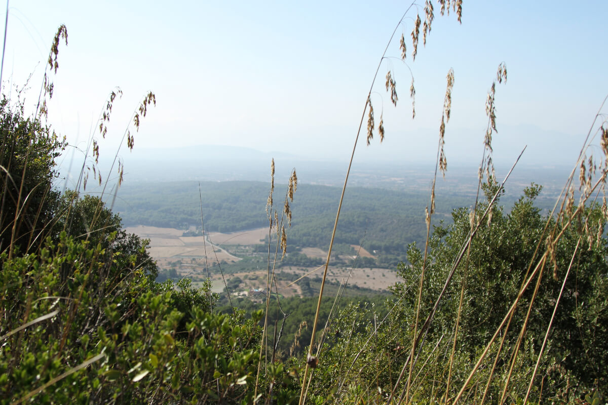 Schöner Blick vom Puig de Randa