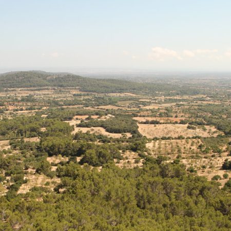 Blick über Wiesen und Felder vom Puig de Randa aus