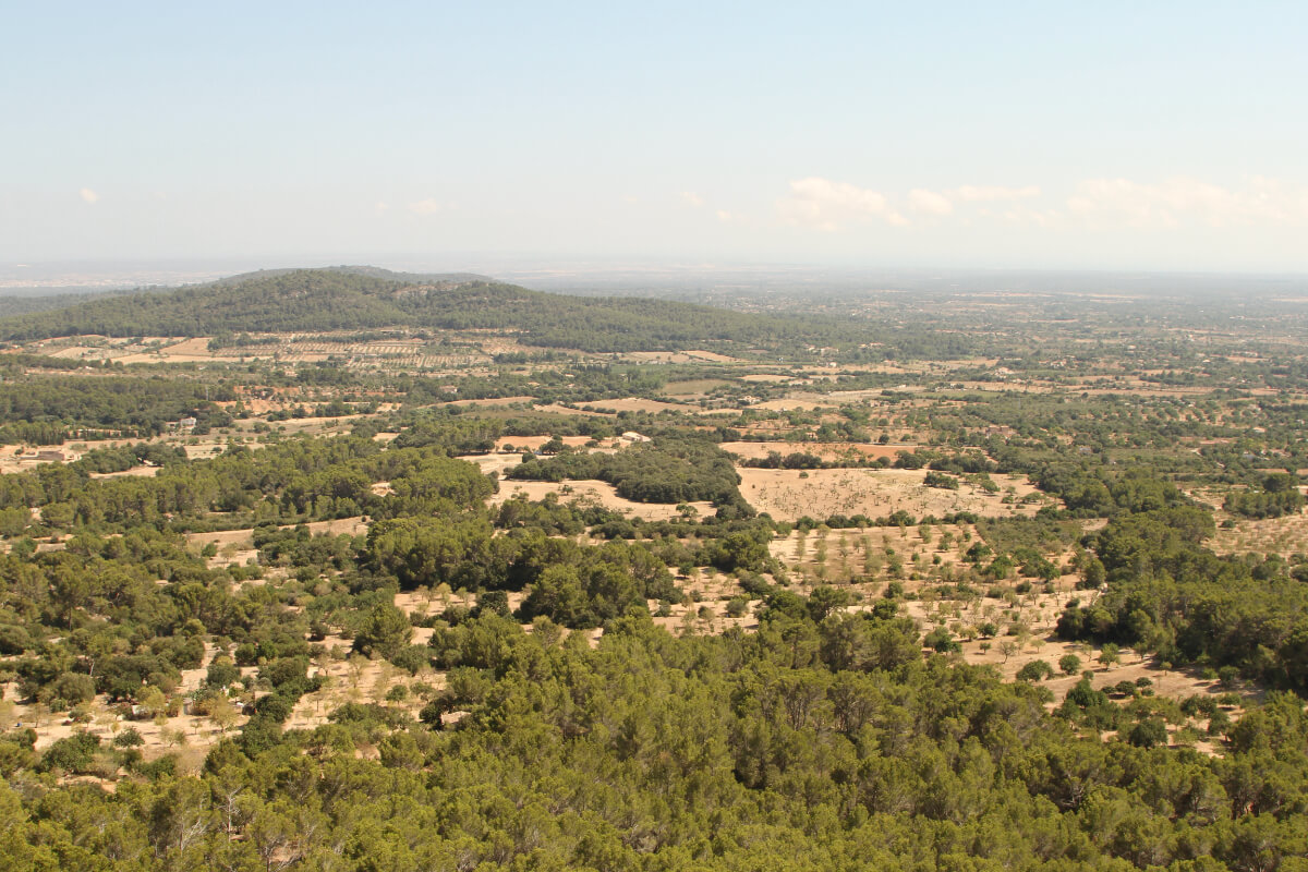 Blick über Wiesen und Felder vom Puig de Randa aus