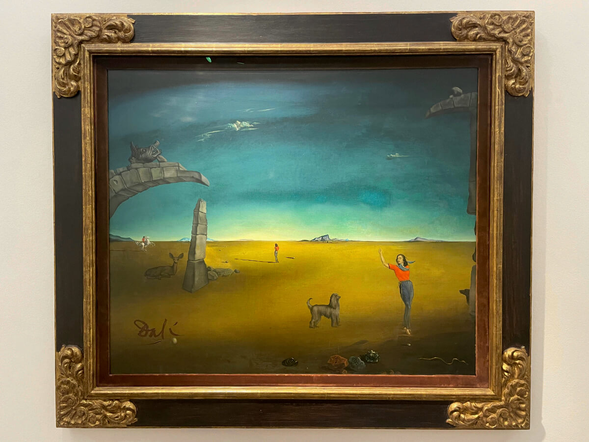 Bild von Salvadore Dalí im Museum