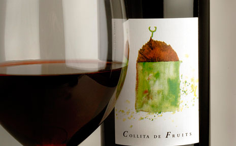 Rotweinglas und Flasche des Weins Collita de Fruits
