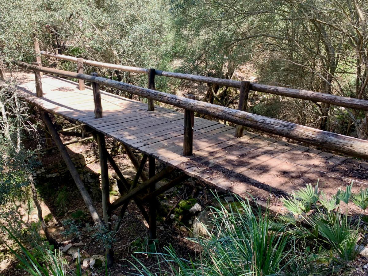 Holzbrücke im Reserva Park