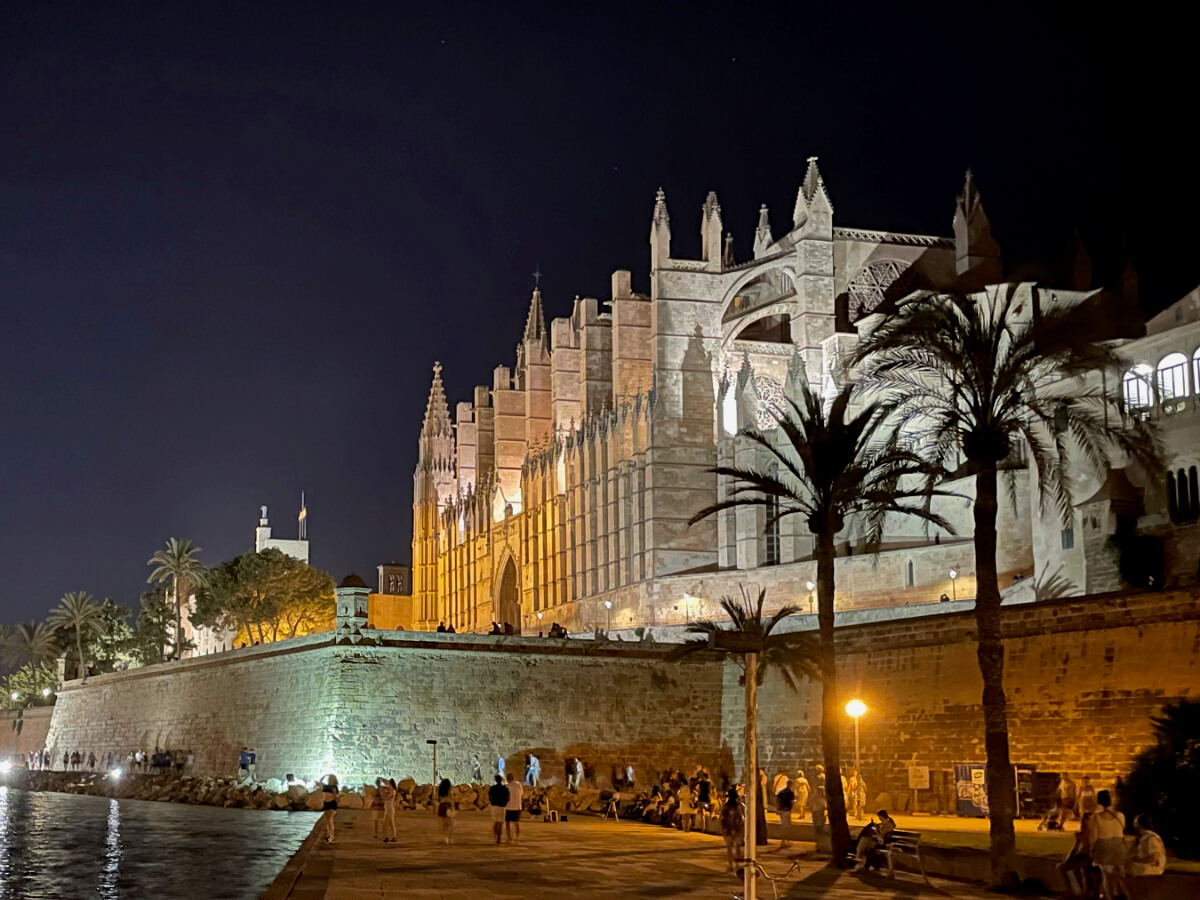 La Seu beleuchtet bei Nacht