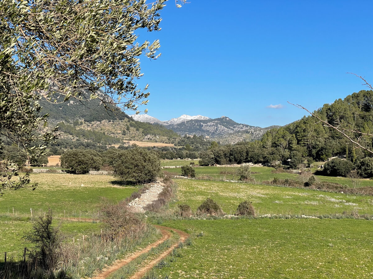 Herrliche Landschaft bei Orient