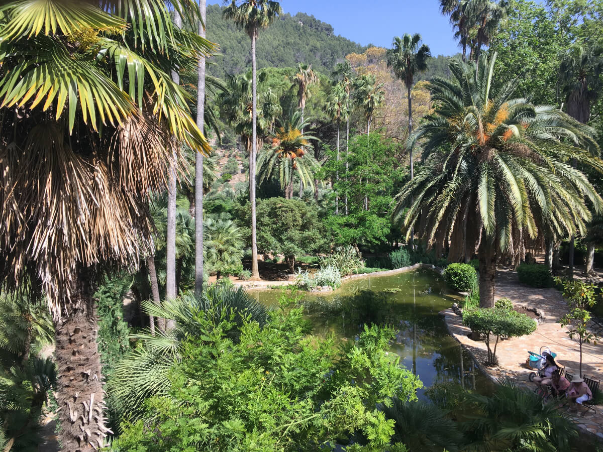 Garten mit Palmen und See