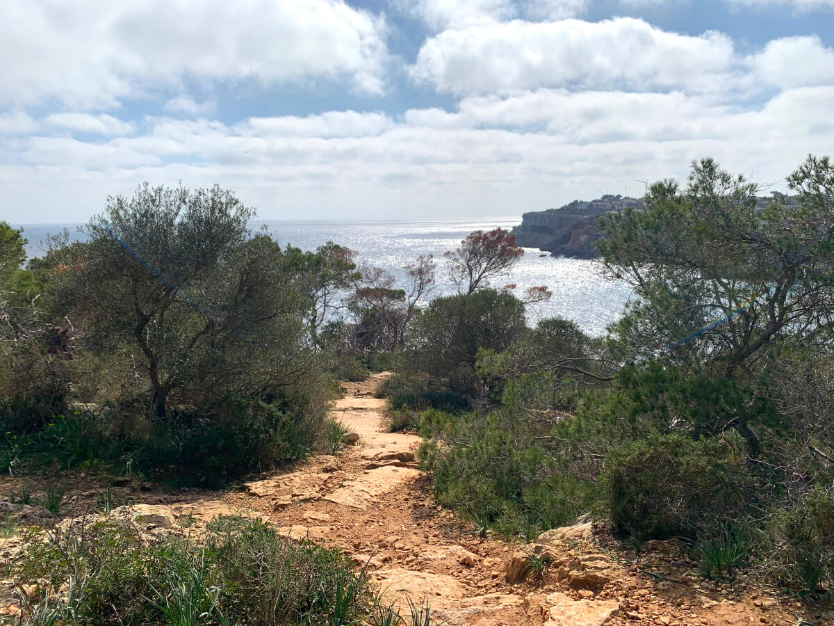 Wanderweg zum Aussichtspunkt