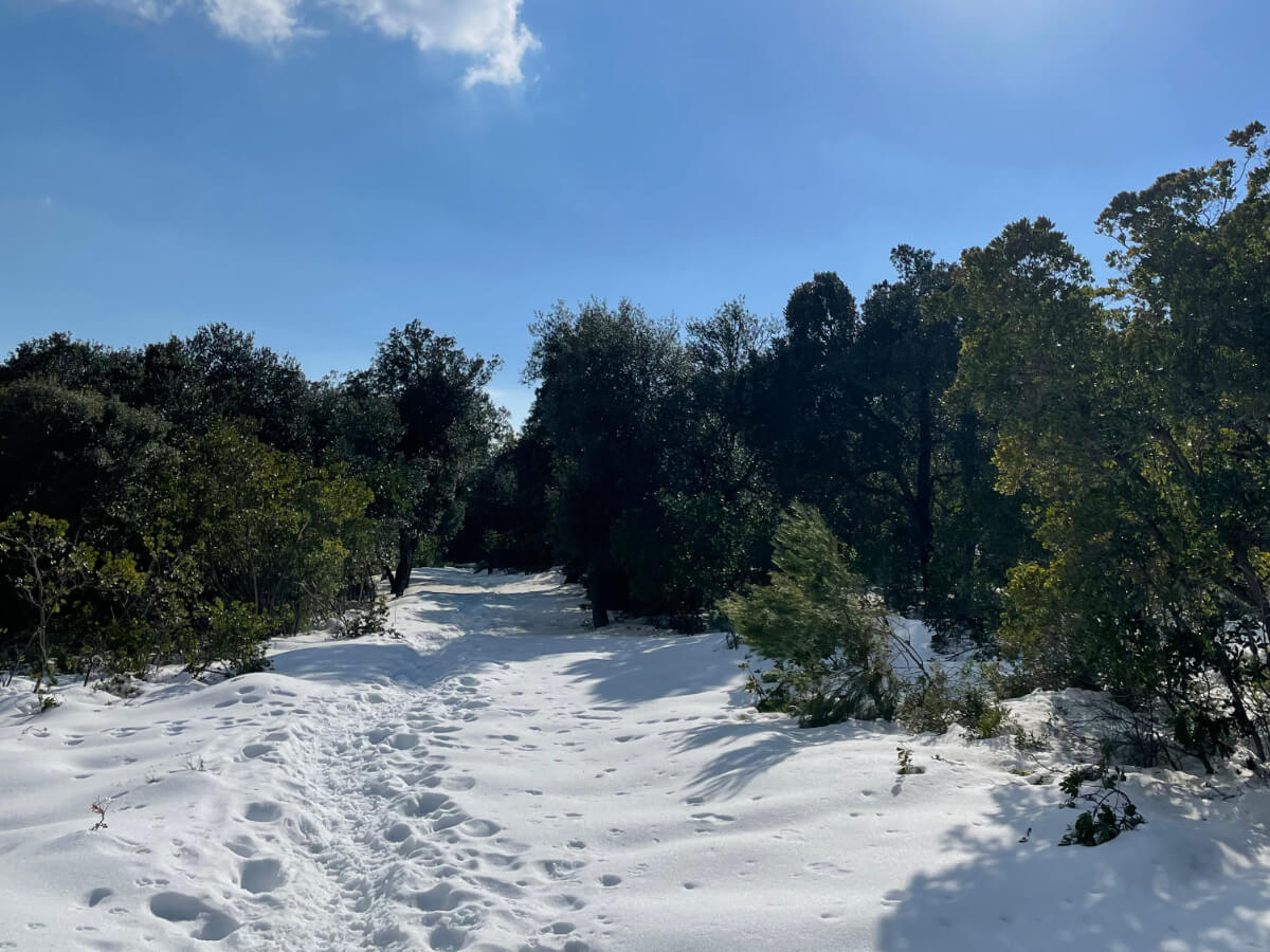 Schnee im Winter im Tramuntana