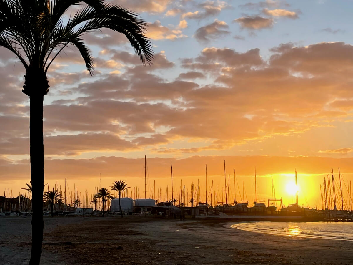 Sonnenuntergang auf Mallorca in El Arenal am Hafen
