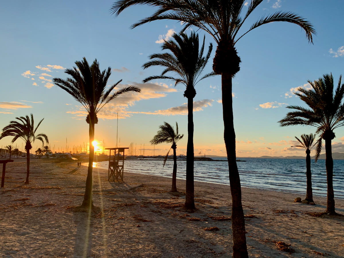 Sonnenuntergang mit Palmen am Strand von El Arsenal
