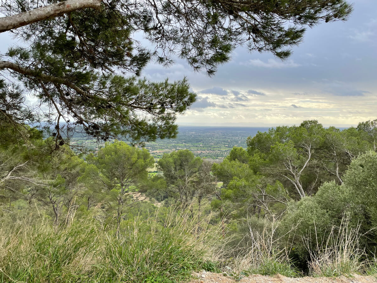 Weitblick vom Puig de Randa aus