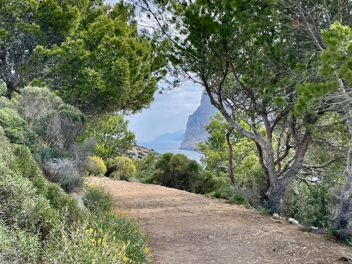 Wanderweg auf der Dracheninsel mit Blick aufs Meer